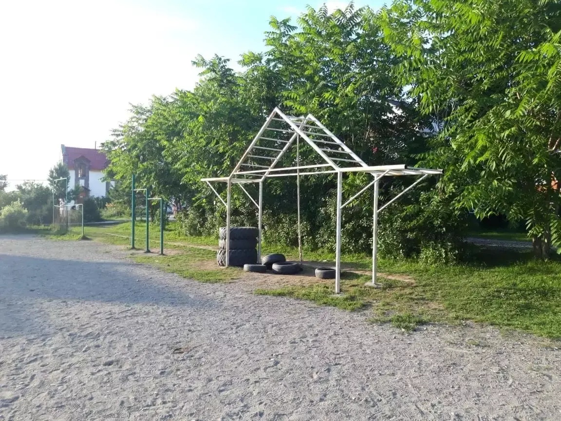 Колибри - фото 99