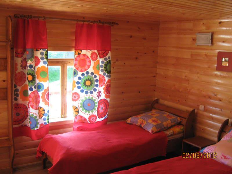 Колибри - фото 100