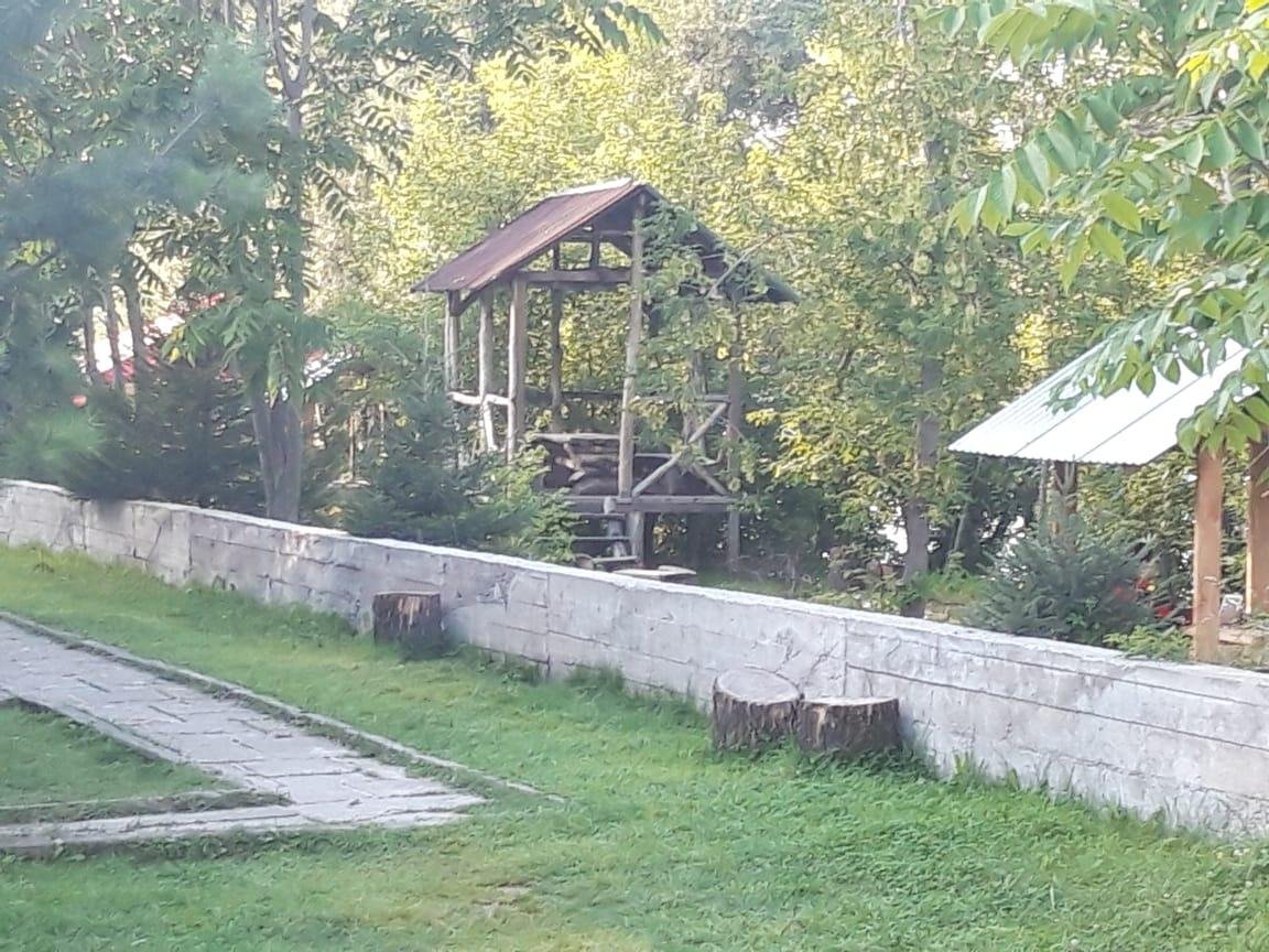 Колибри - фото 102