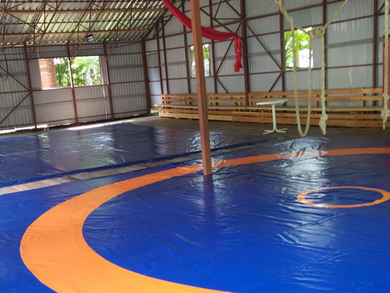 Колибри - фото 121