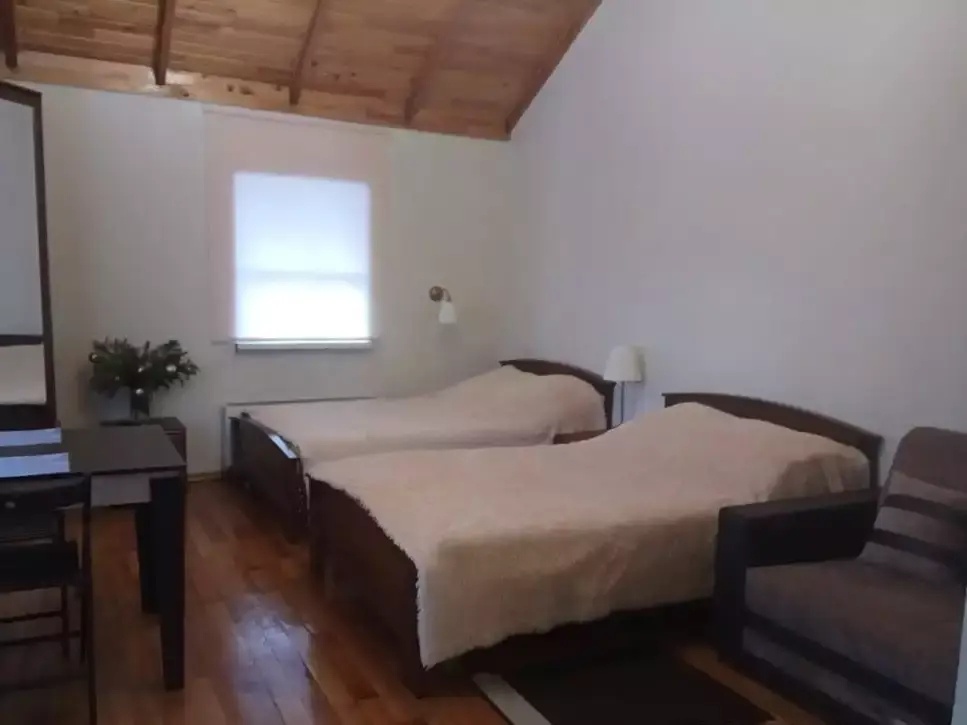 Колибри - фото 126