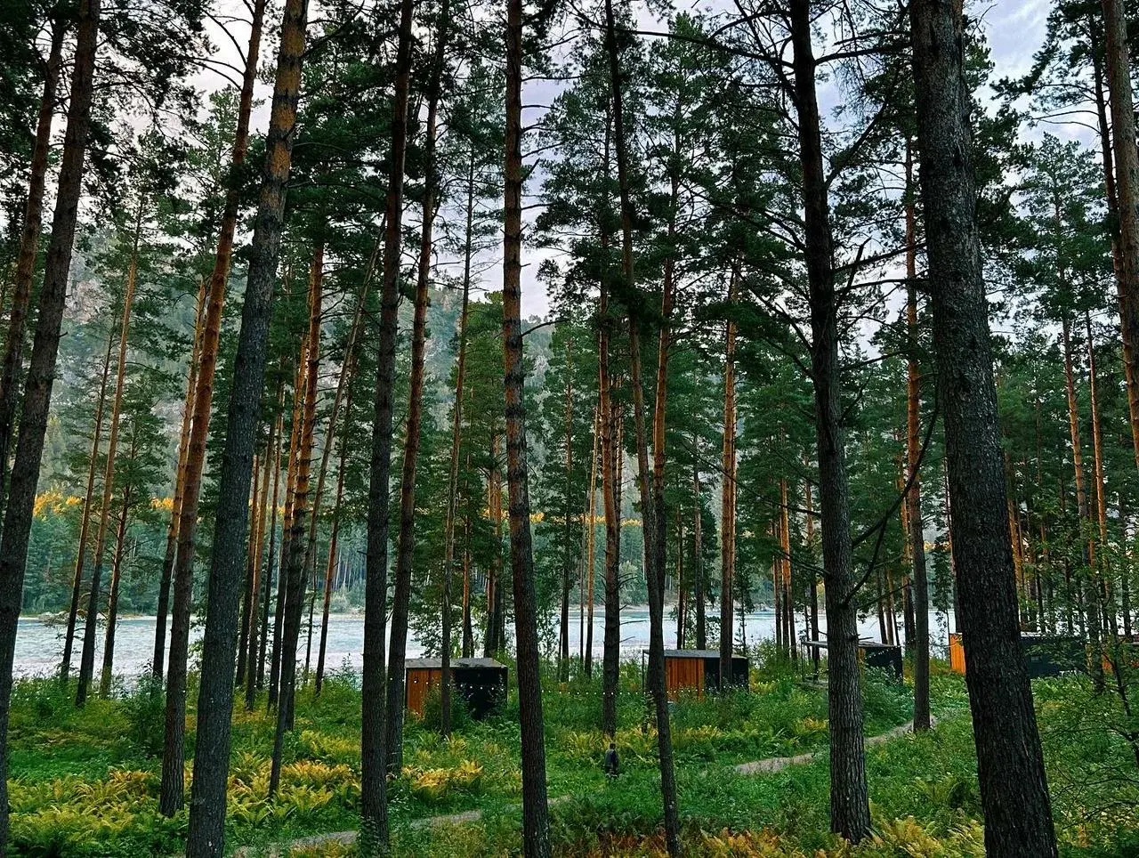 Август - фото 18