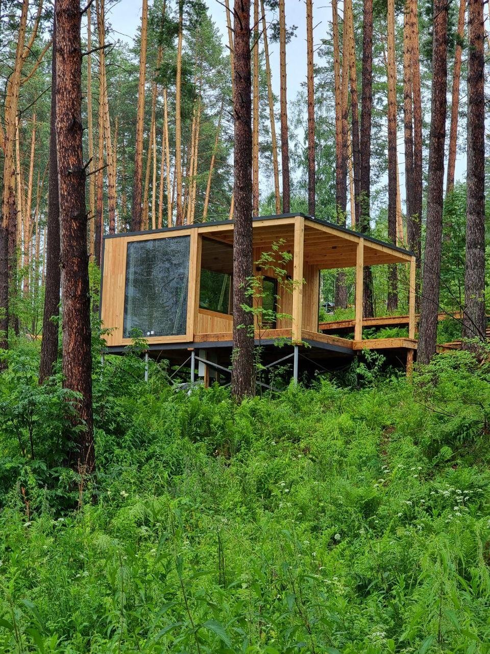 Август - фото 34