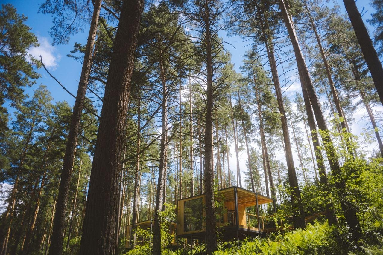 Август - фото 35