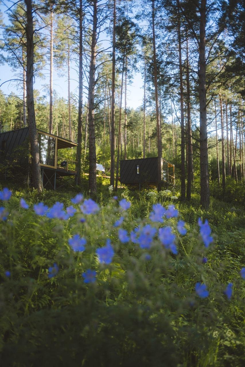 Август - фото 42