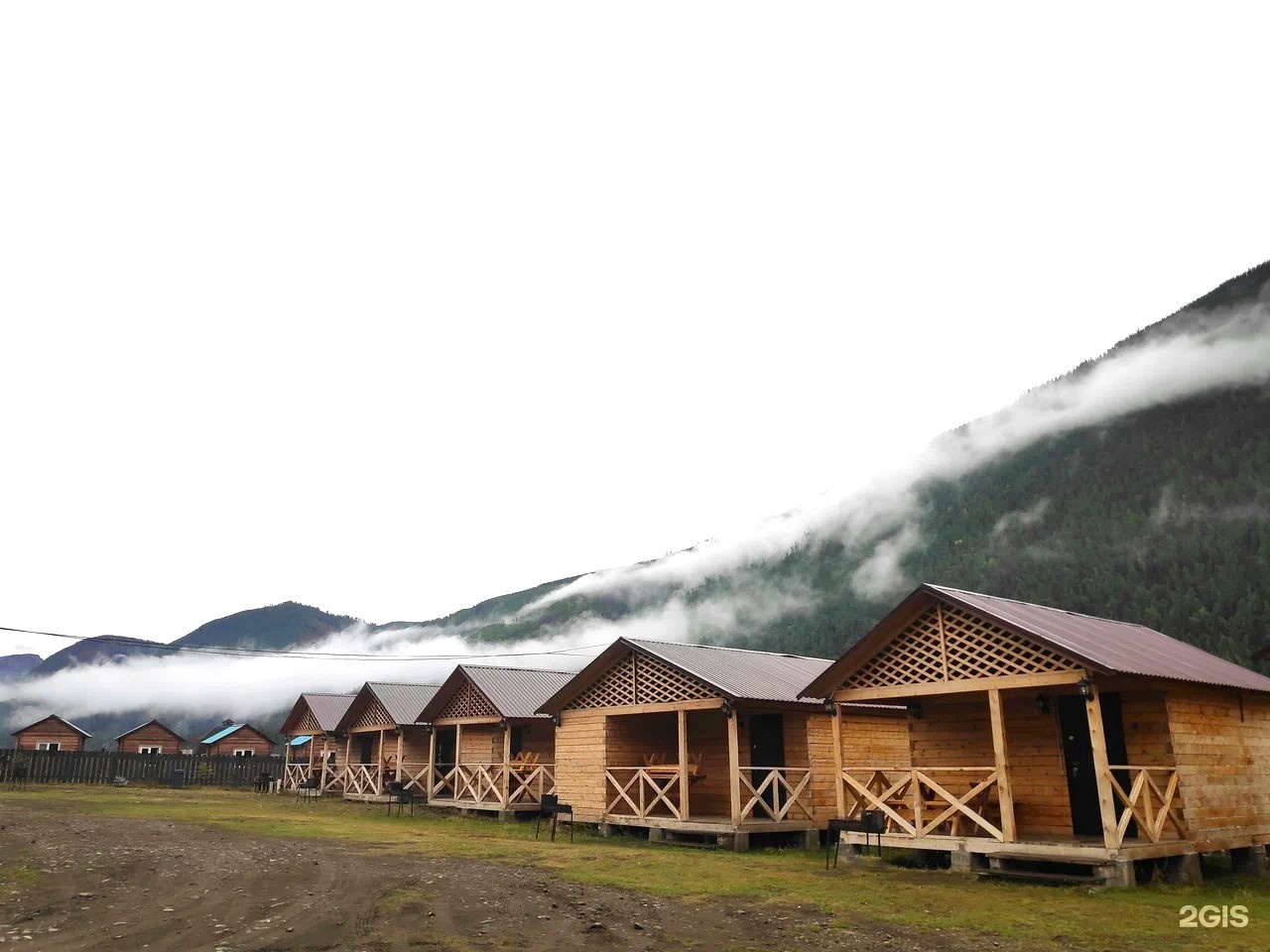 Алтайэкокедр - фото 10