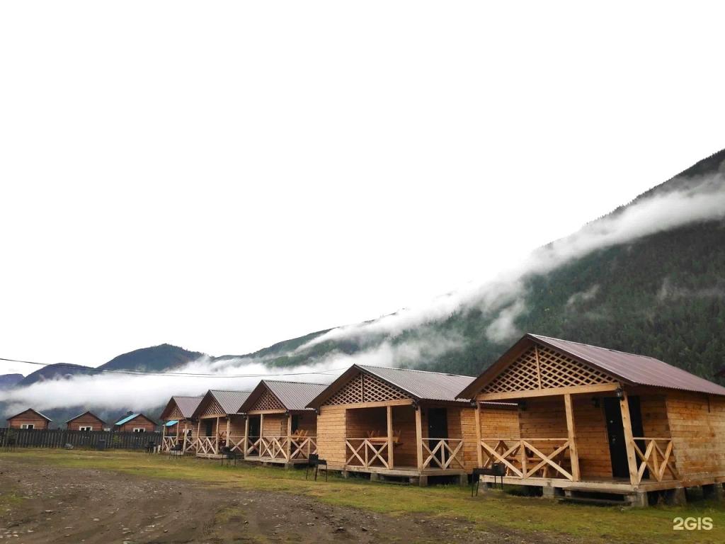 Алтайэкокедр - фото 10