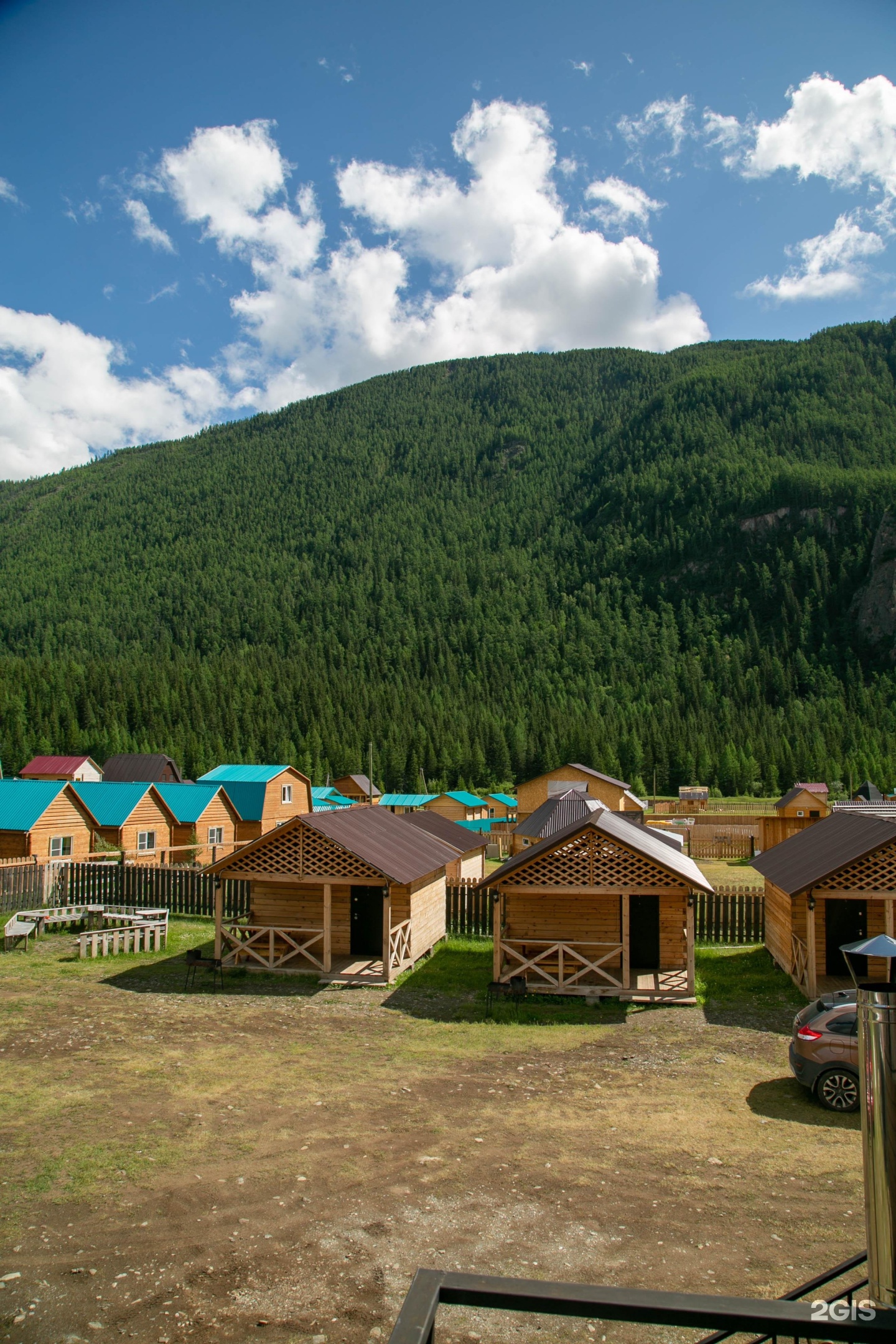 Алтайэкокедр - фото 23