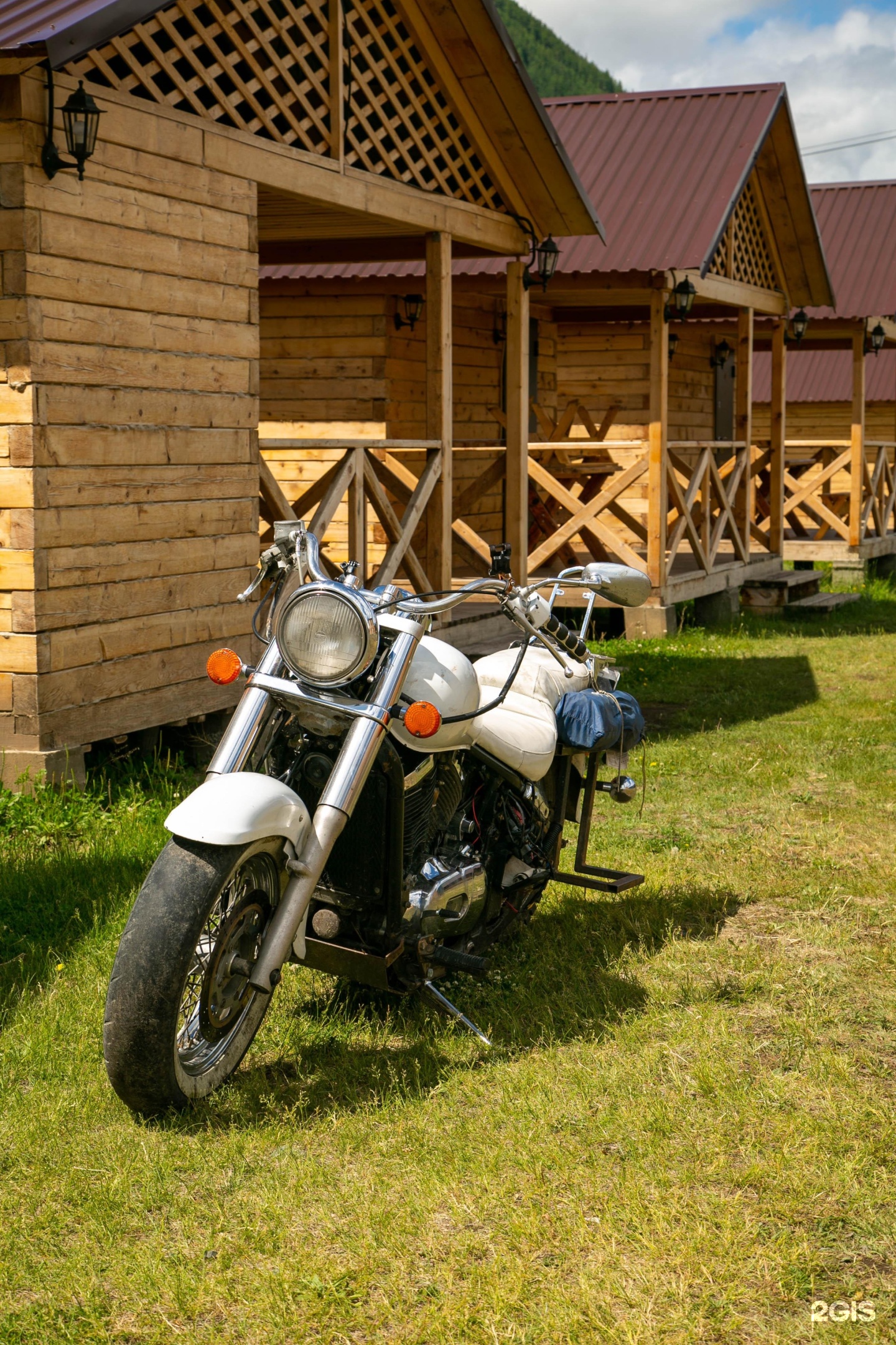 Алтайэкокедр - фото 24