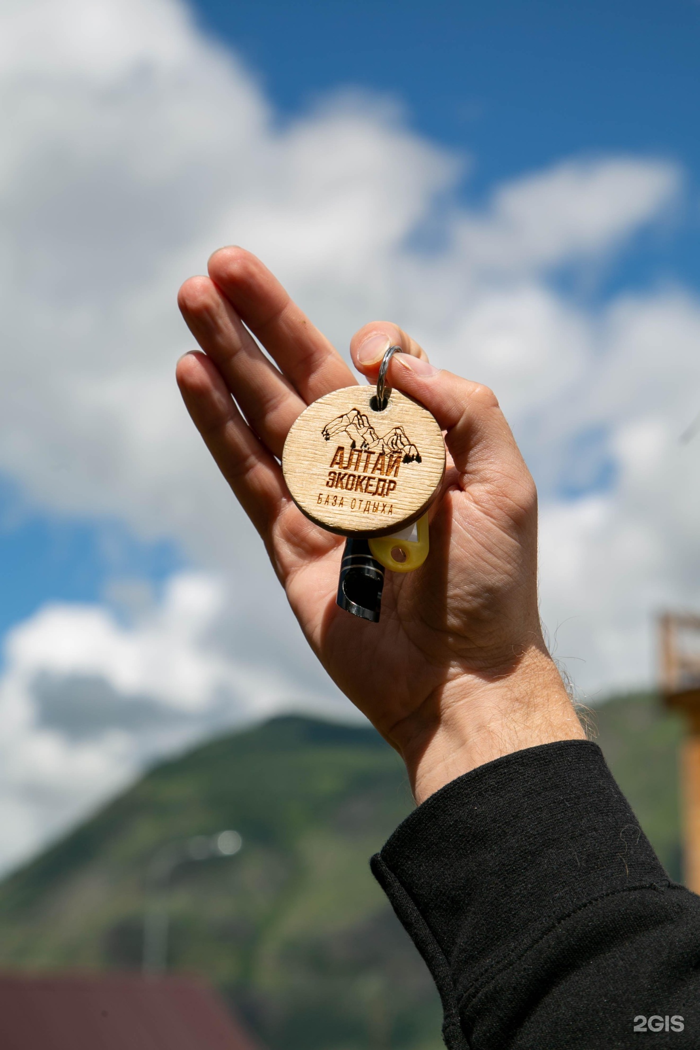 Алтайэкокедр - фото 31