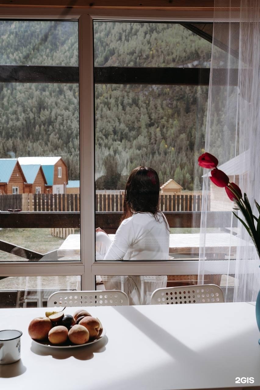 Алтайэкокедр - фото 43