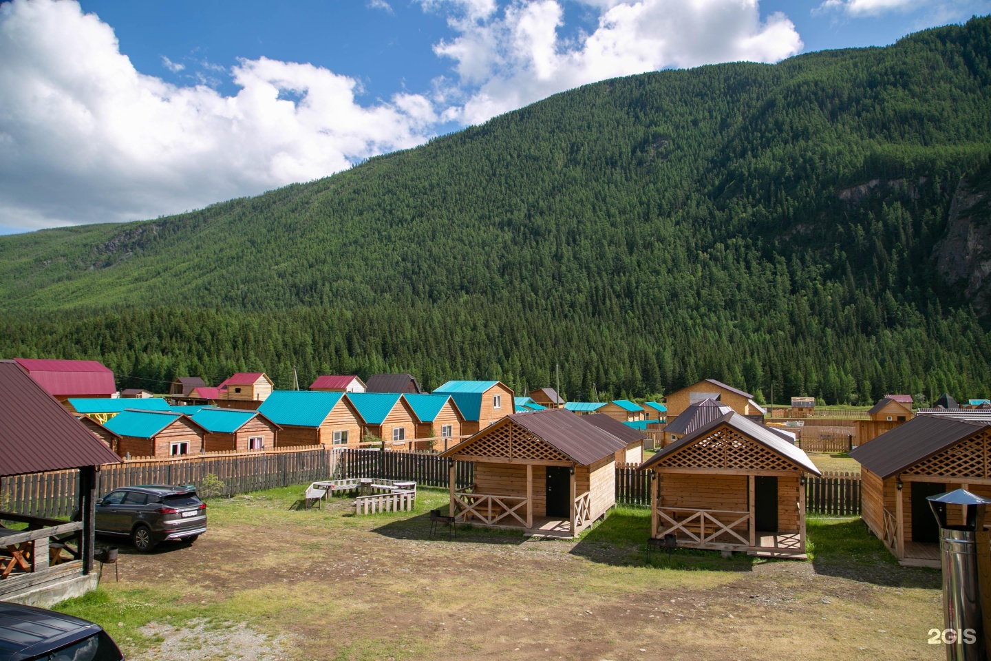 Алтайэкокедр - фото 47