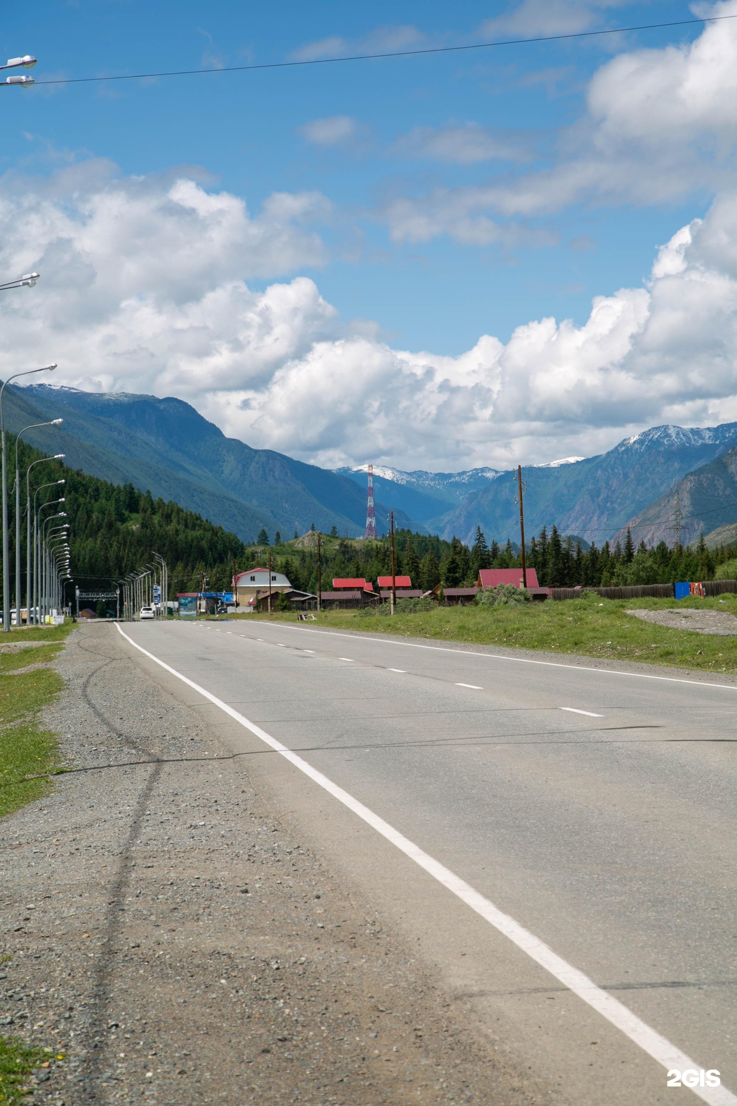 Алтайэкокедр - фото 49