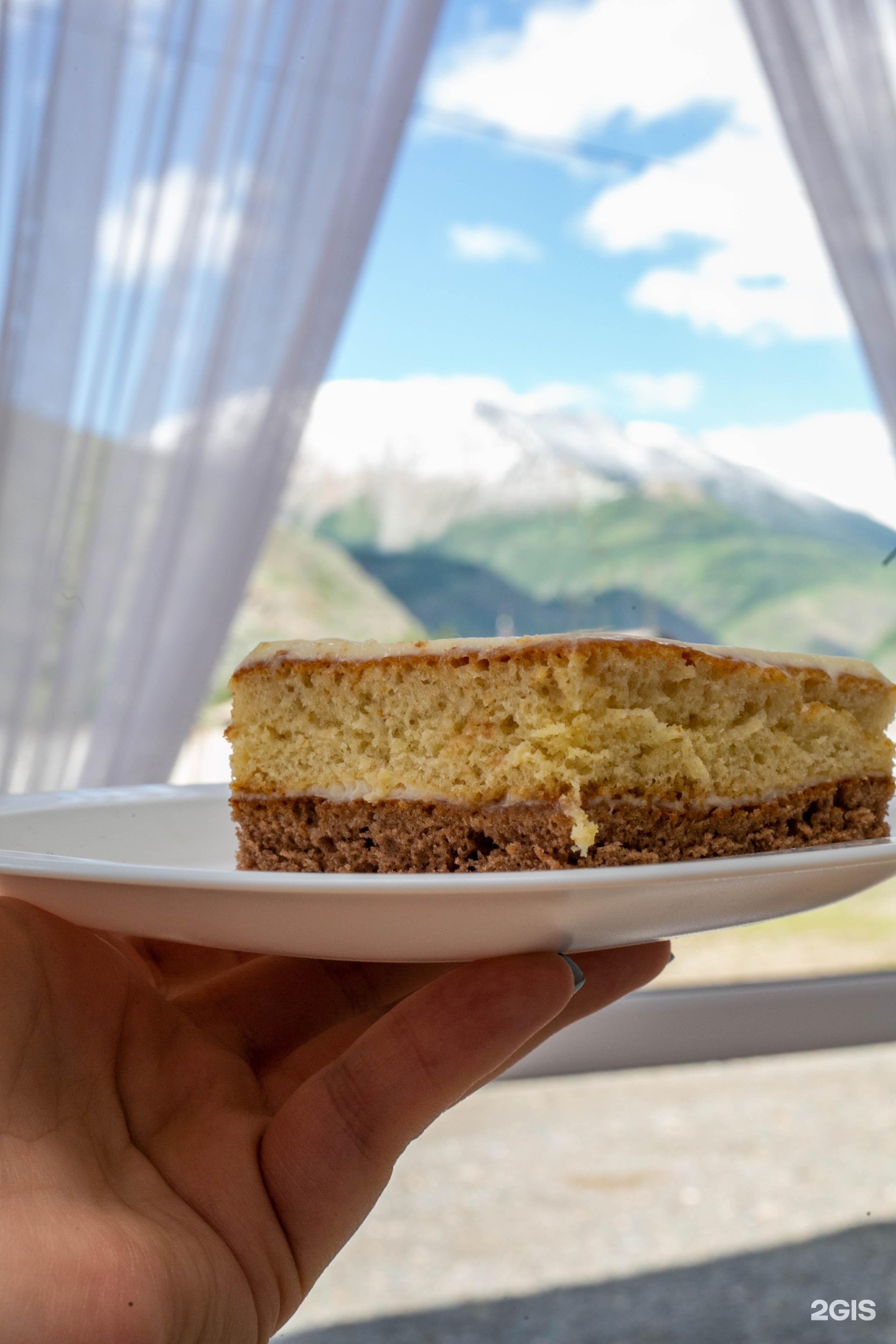 Алтайэкокедр - фото 56