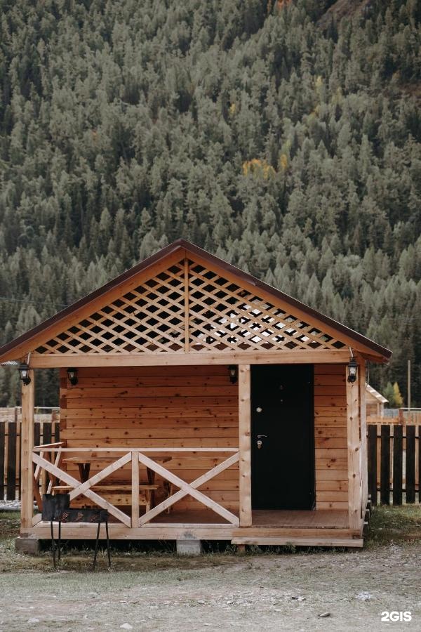 Алтайэкокедр - фото 58