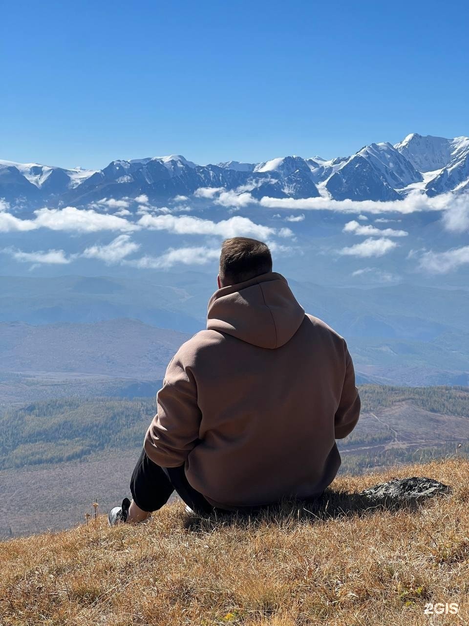 Алтайэкокедр - фото 59