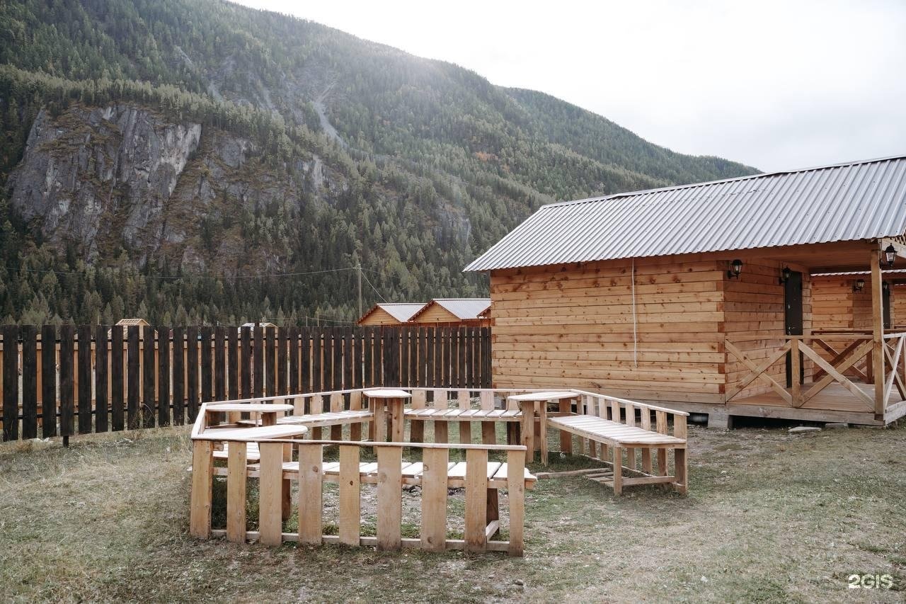 Алтайэкокедр - фото 61