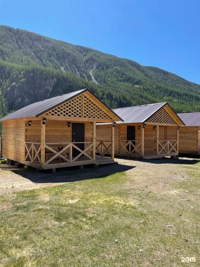 Алтайэкокедр - фото 62