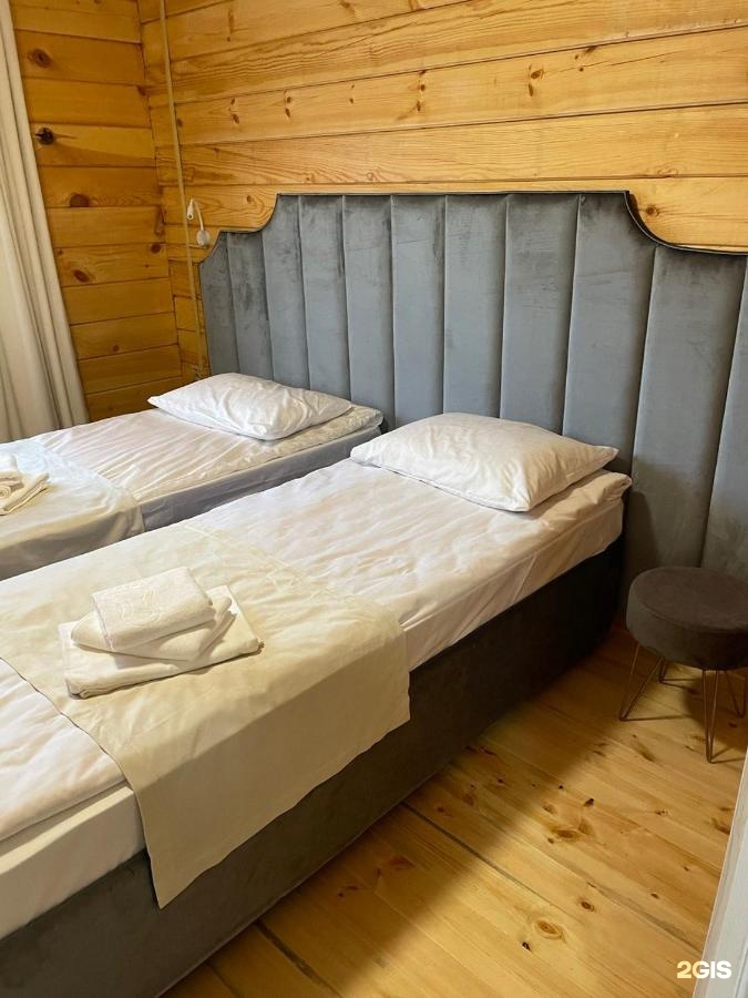 Алтайэкокедр - фото 72