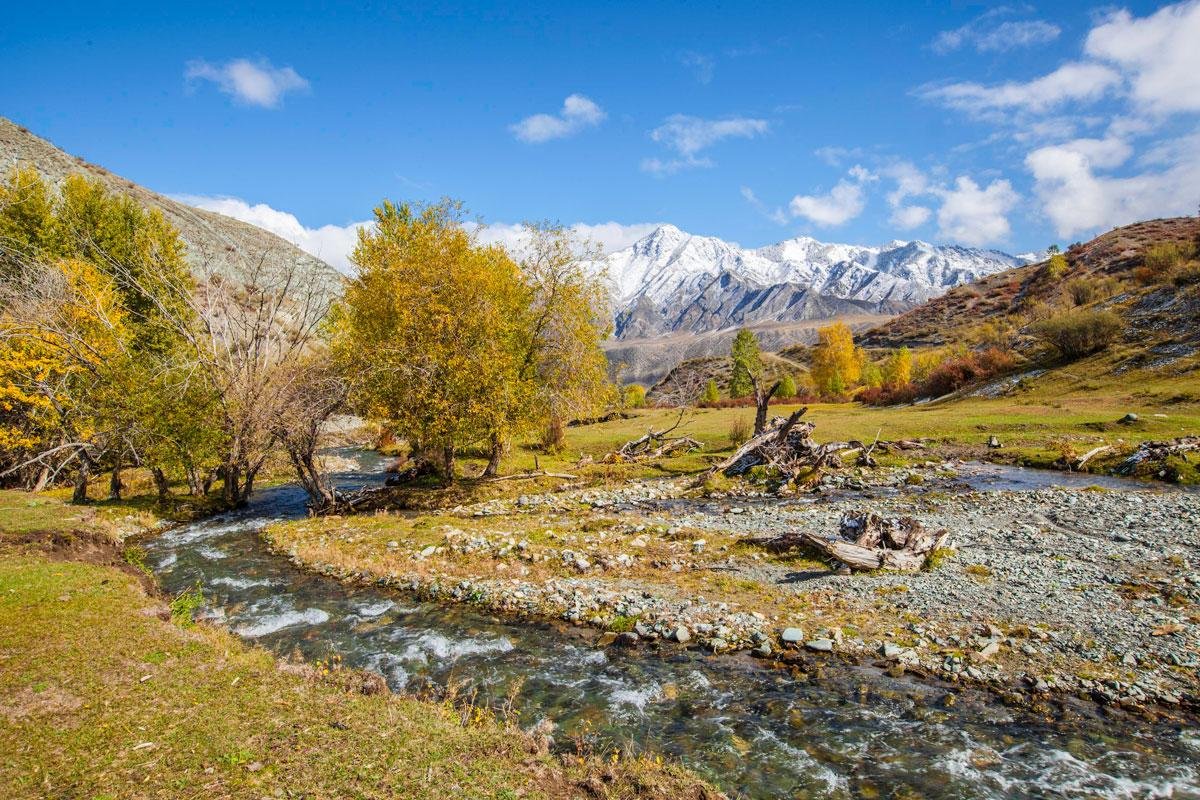 Инегень - фото 43