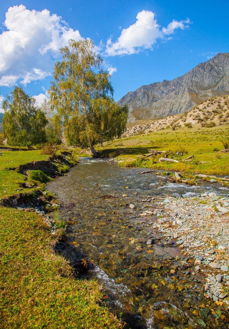Инегень - фото 48