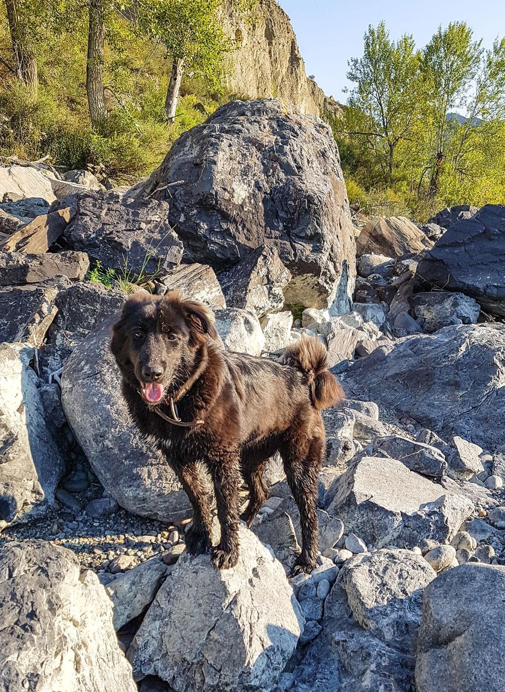 Инегень - фото 81