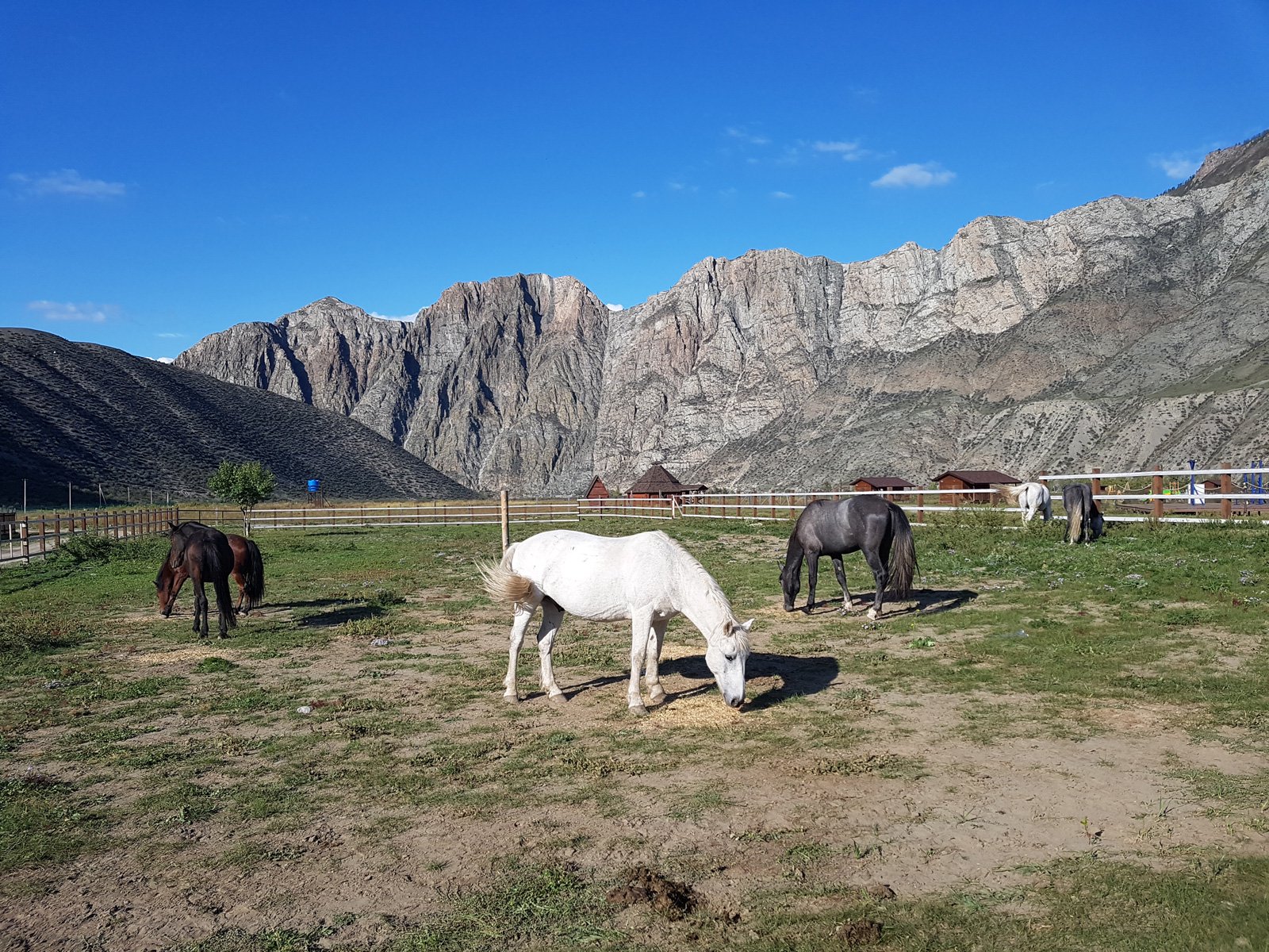 Инегень - фото 87