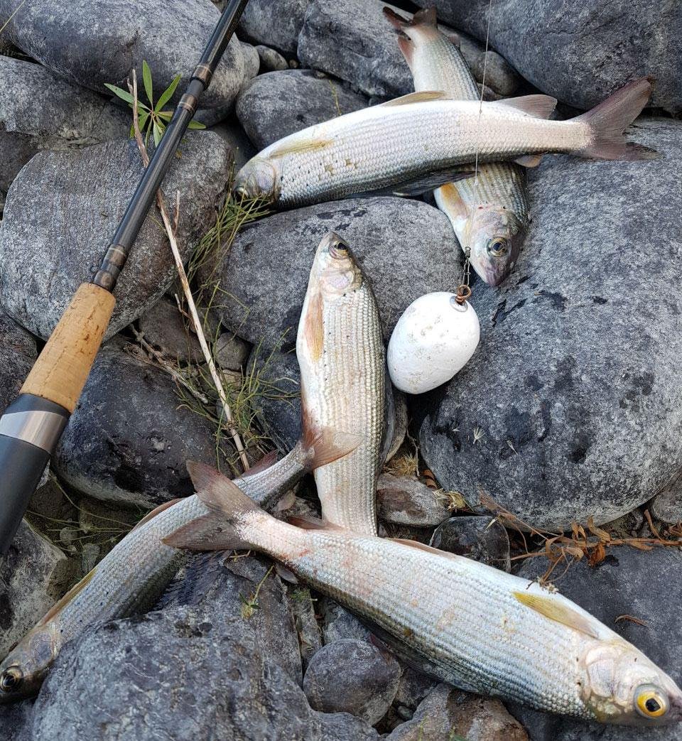 Инегень - фото 105