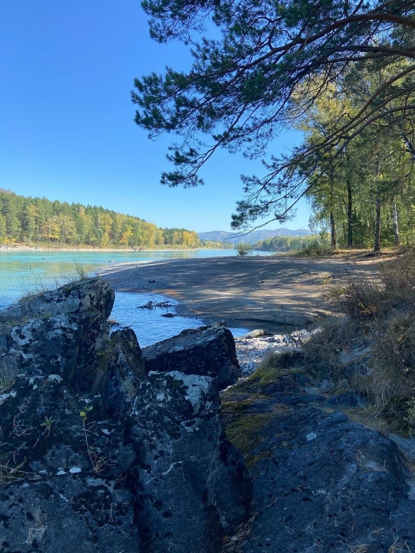 Altay Sun - фото 4