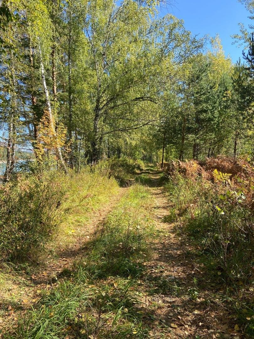 Altay Sun - фото 6