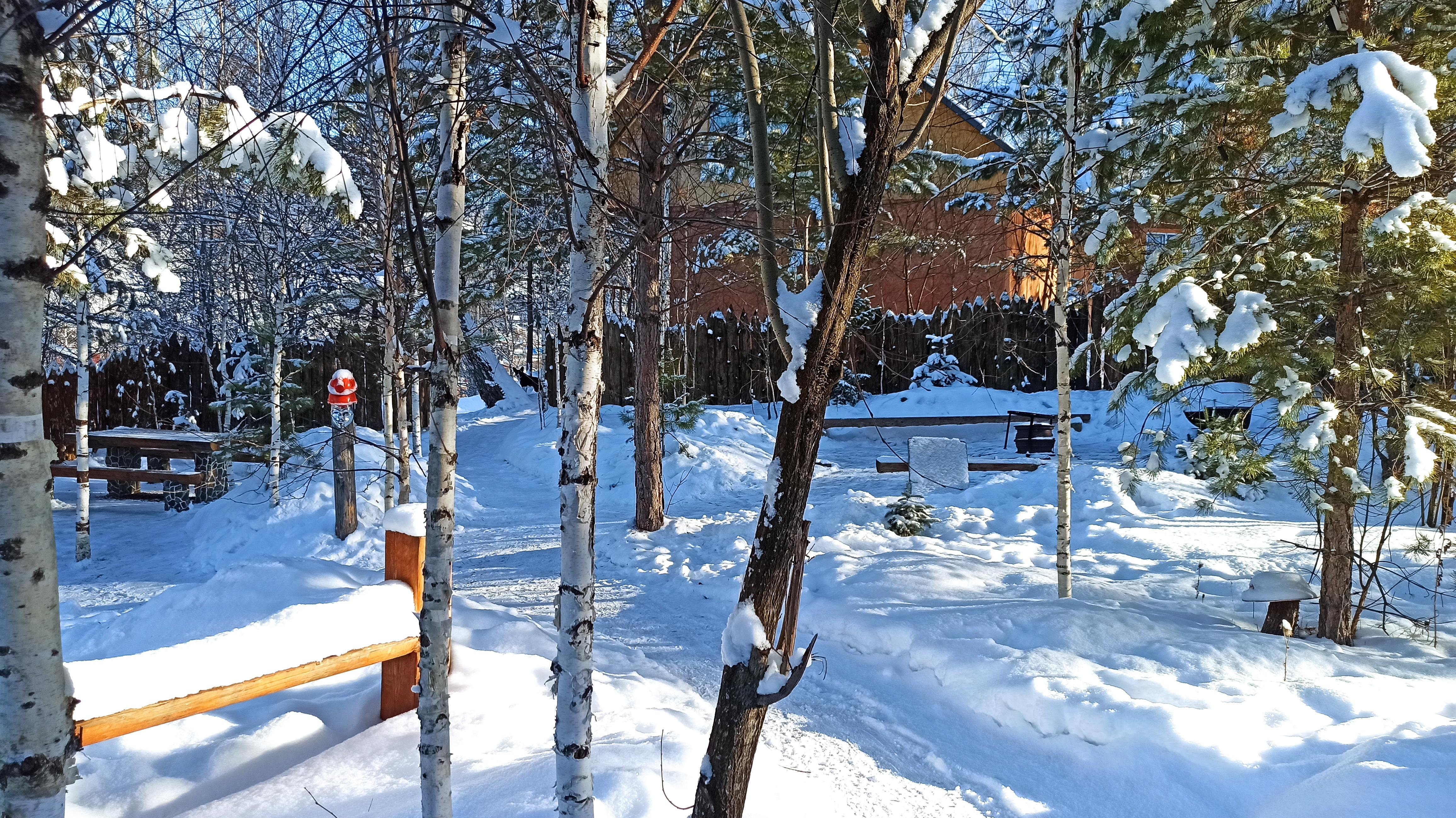 Дыхание природы - фото 11