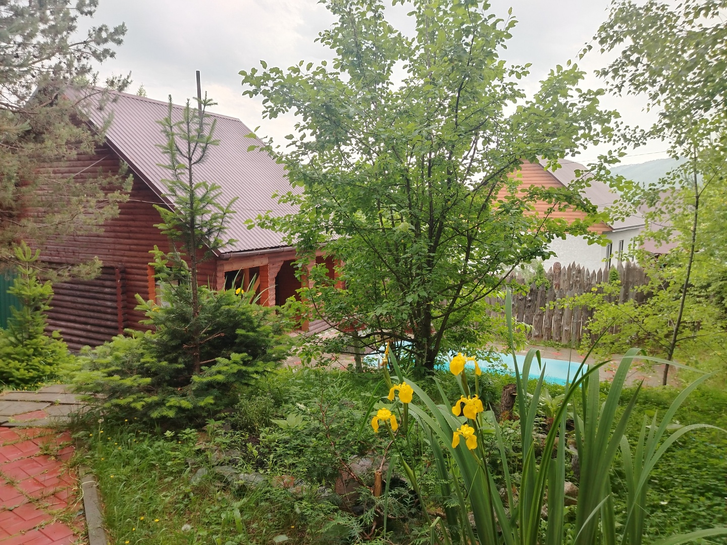 Дыхание природы - фото 25