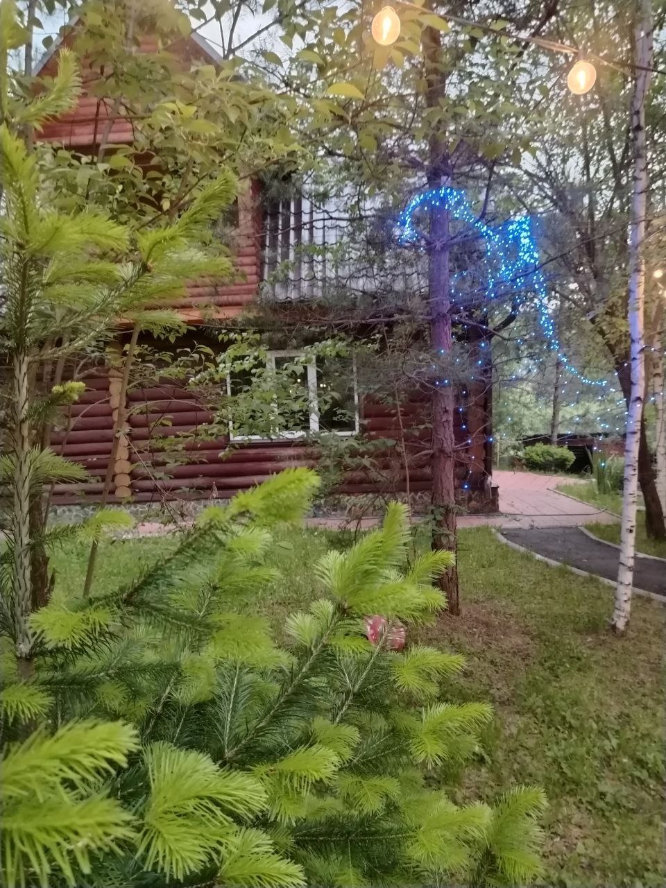 Дыхание природы - фото 43