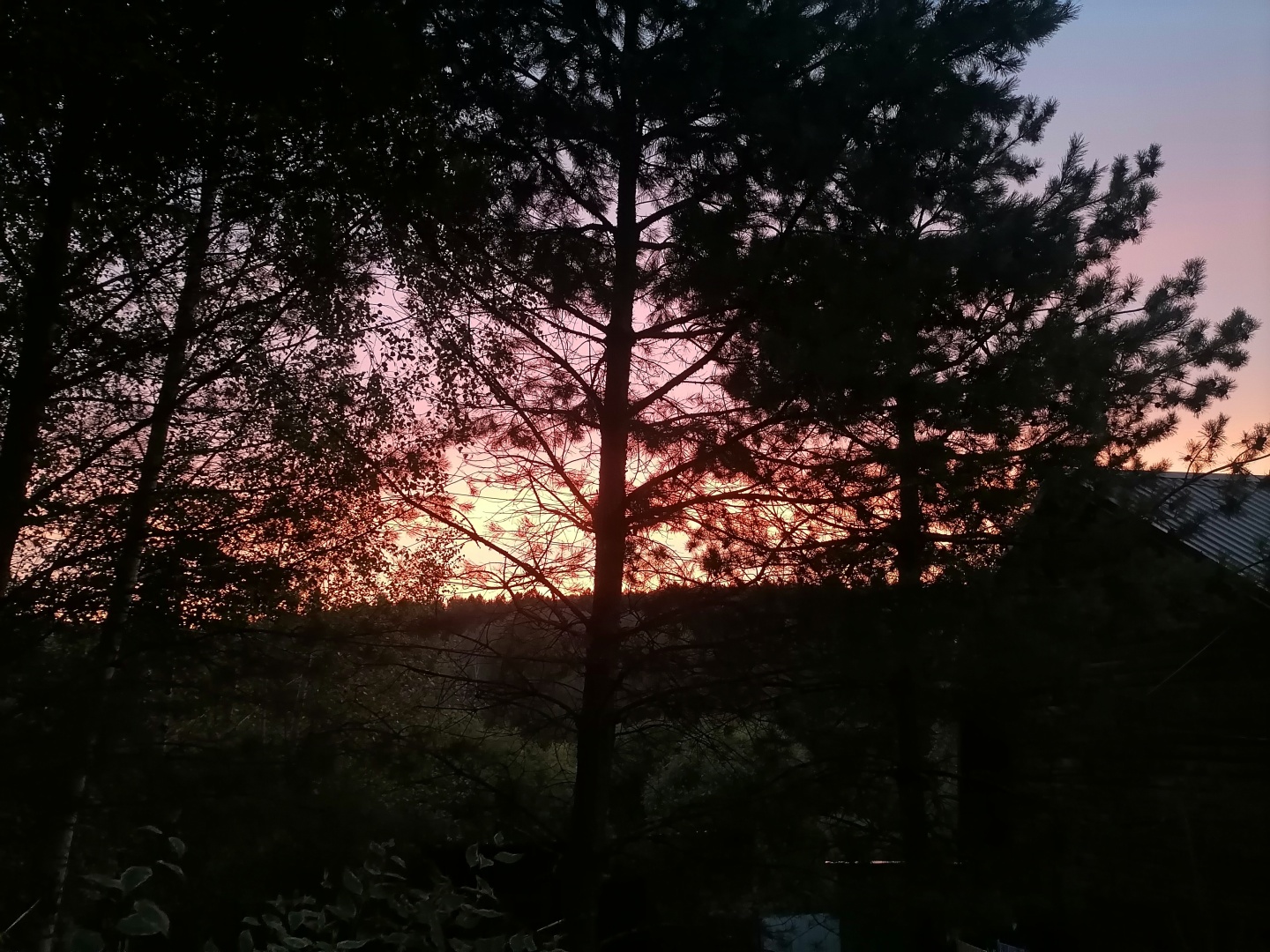 Дыхание природы - фото 52