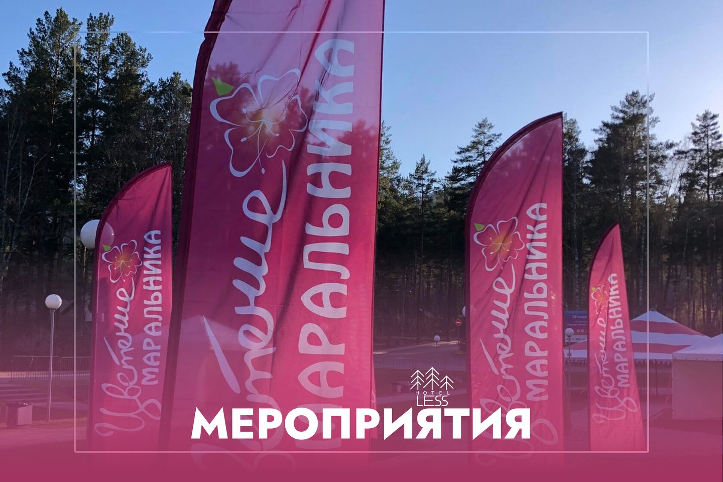 Отель Less - фото 62