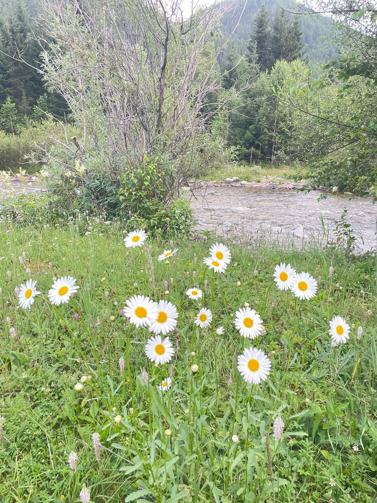 Ильгумень - фото 41