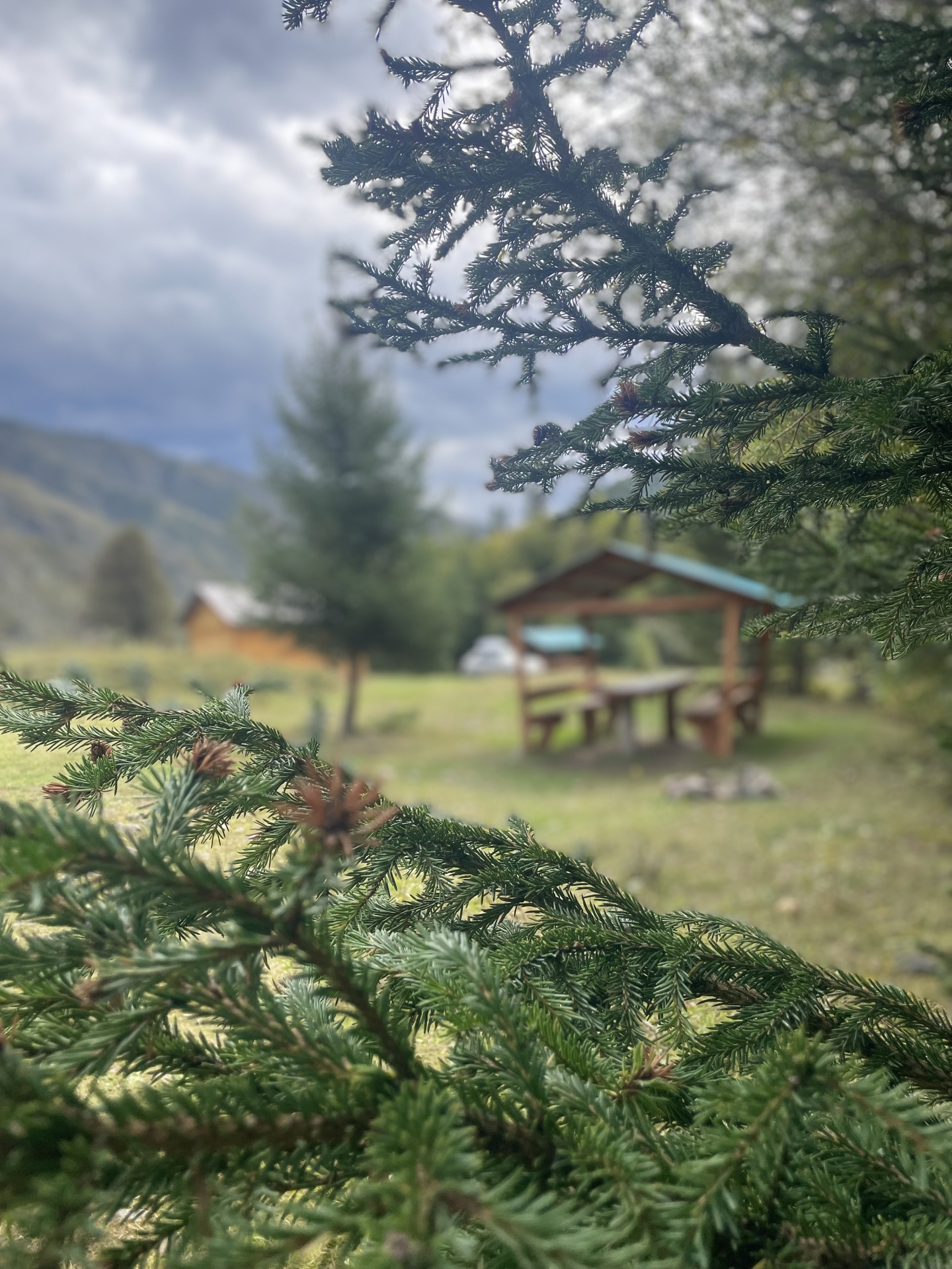 Трехместный номер с двуспальной и односпальной кроватью - фото 6