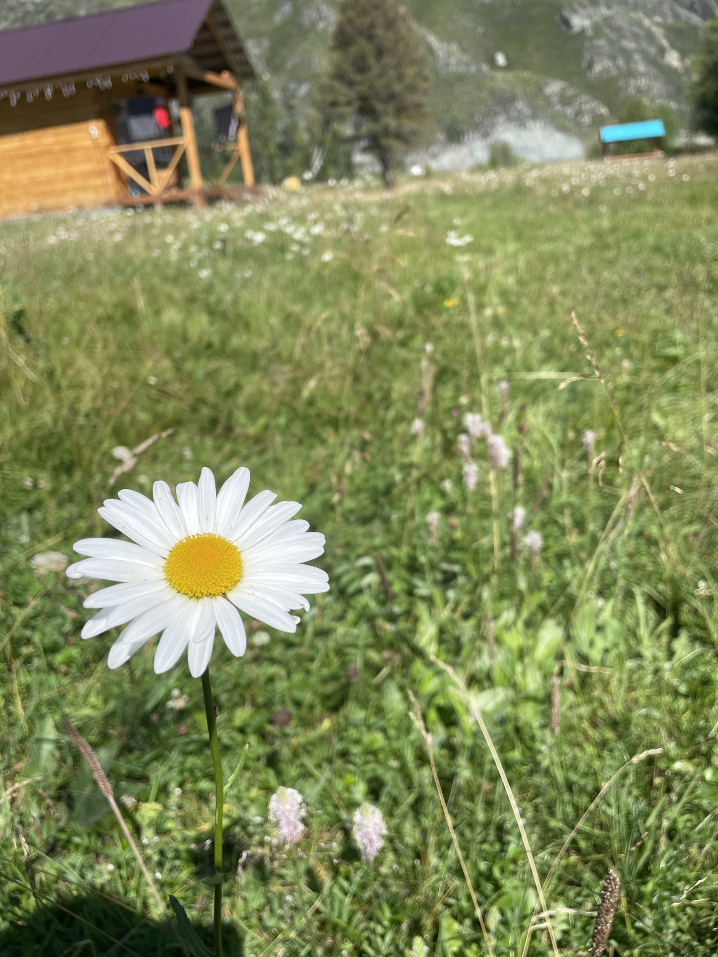 Трехместный номер с двуспальной и односпальной кроватью - фото 10