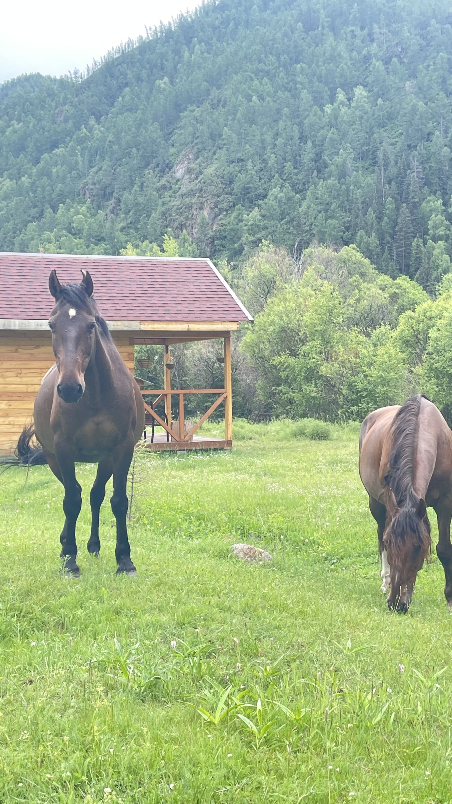 Трехместный номер с двуспальной и односпальной кроватью - фото 5