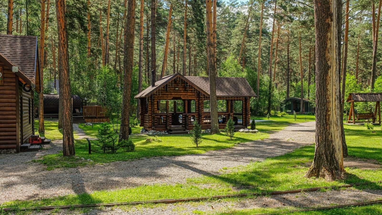 Лето - фото 1