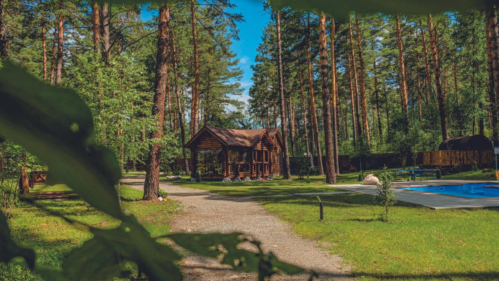 Лето - фото 4