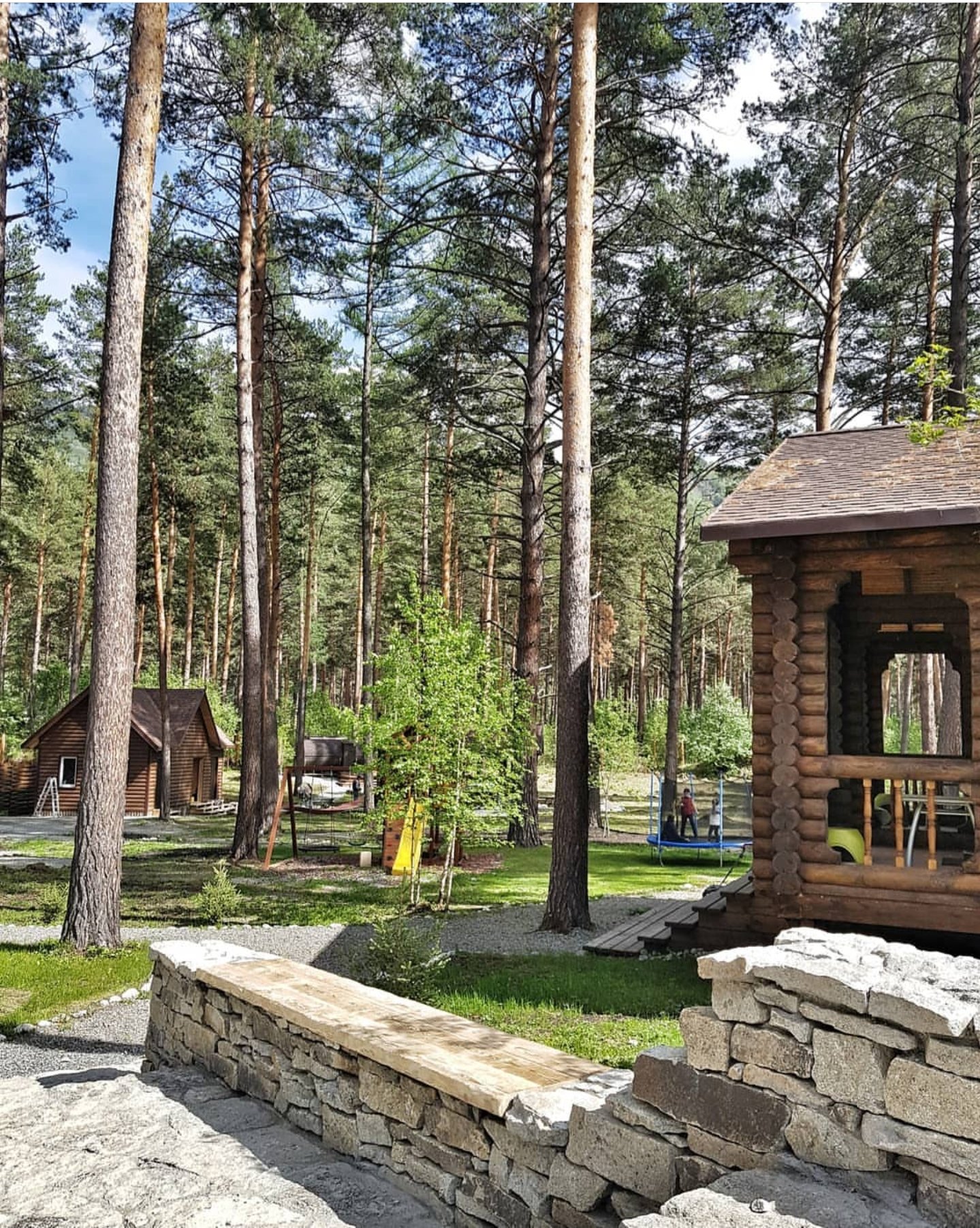 Лето - фото 6