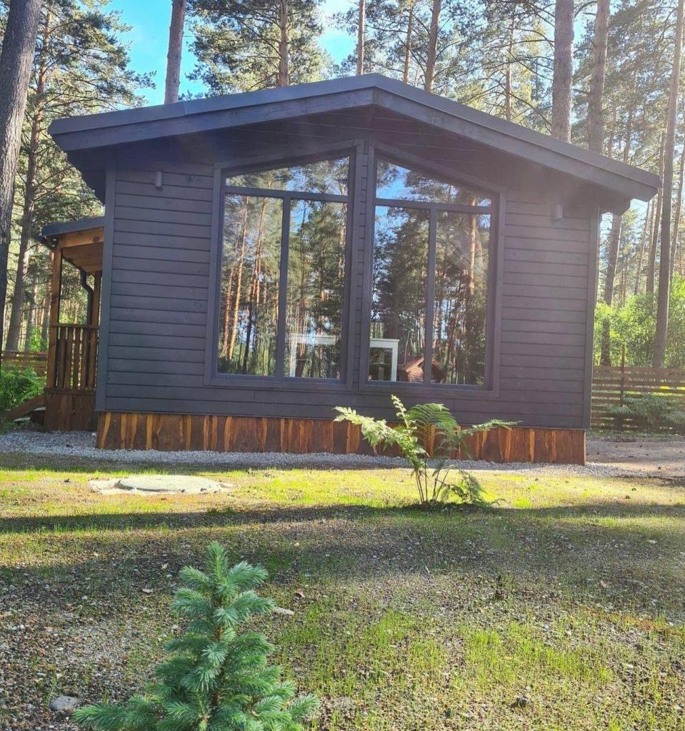 Лето - фото 10