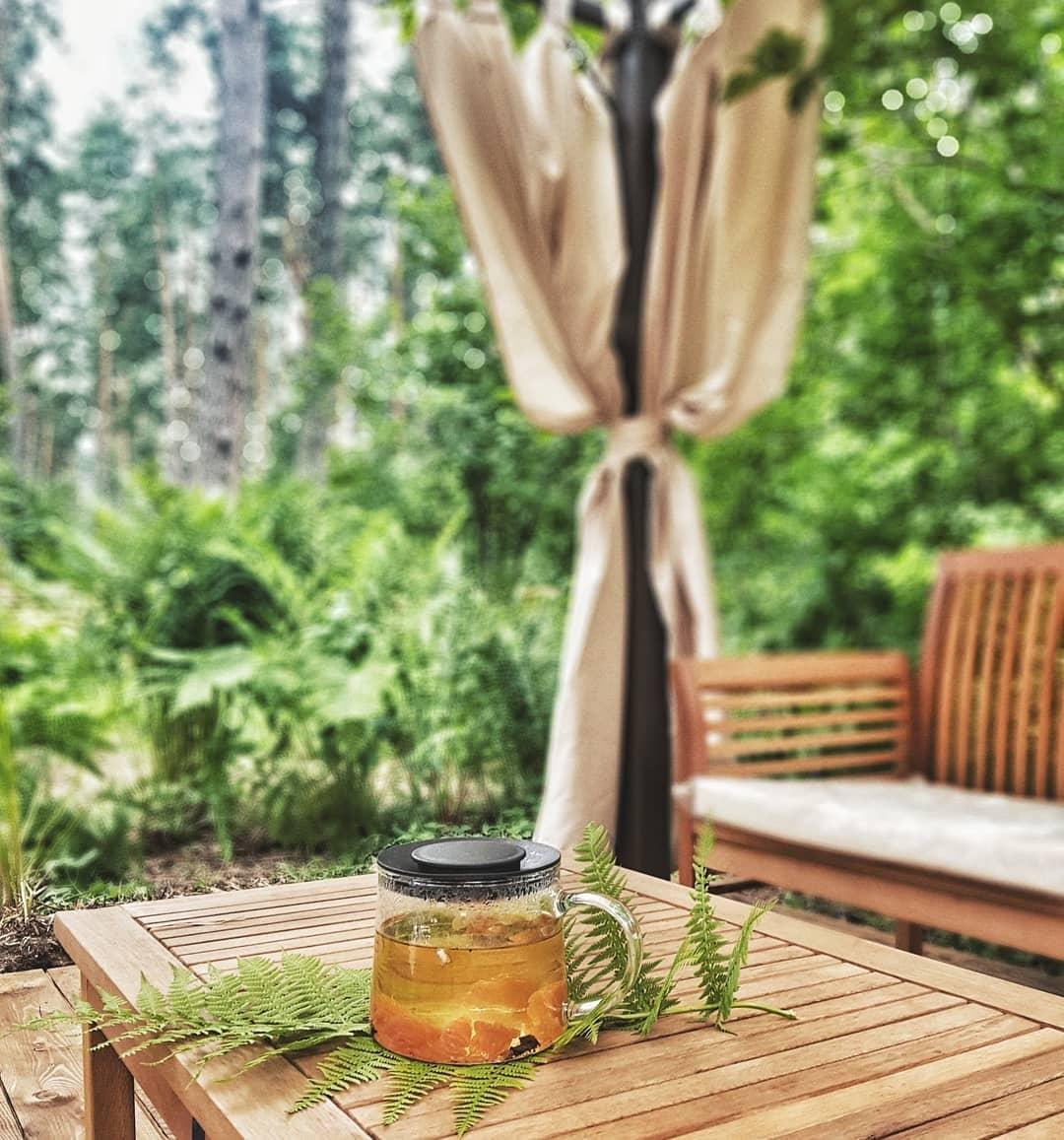 Лето - фото 12