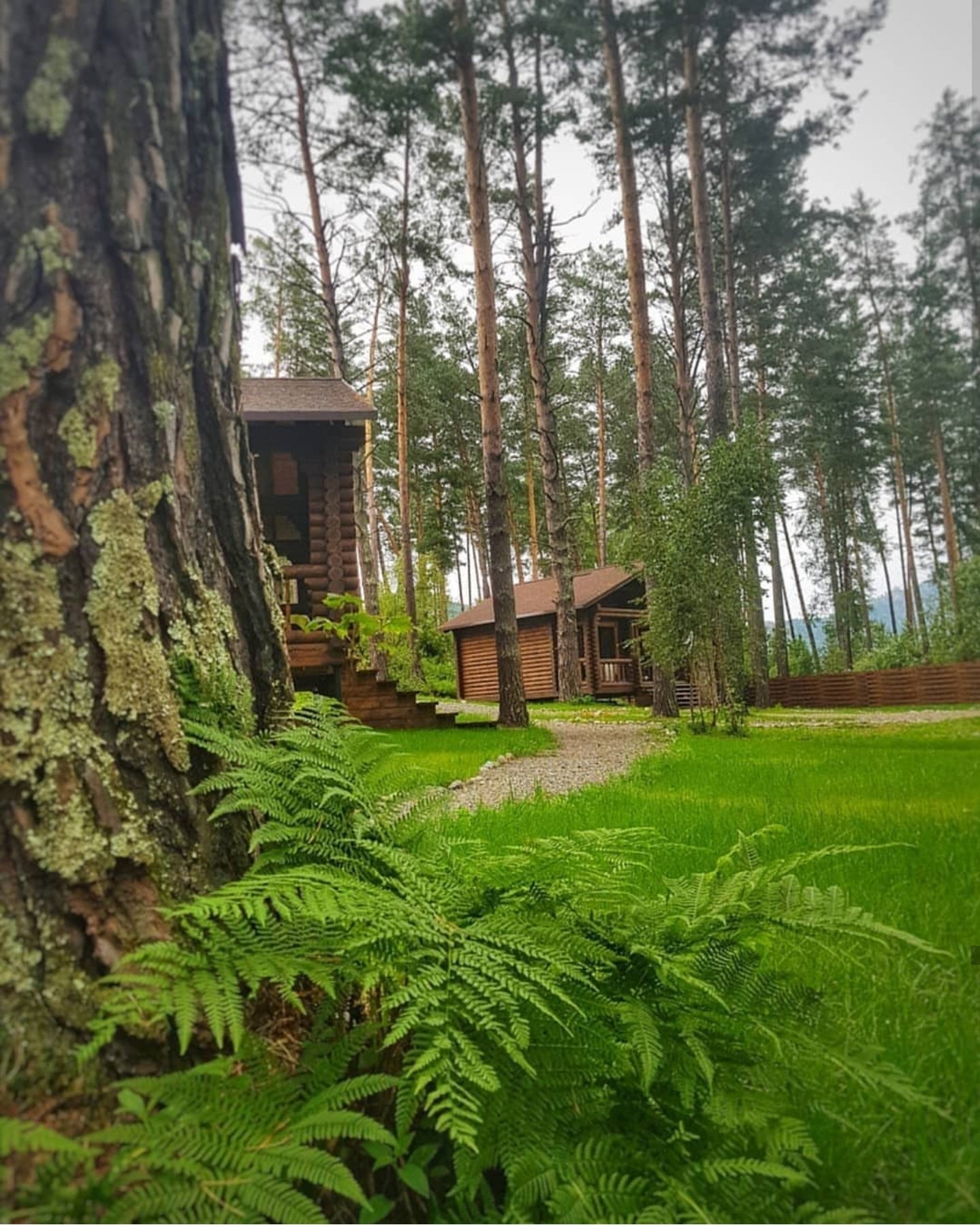 Лето - фото 13