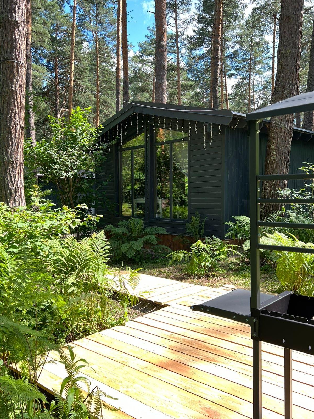 Лето - фото 15