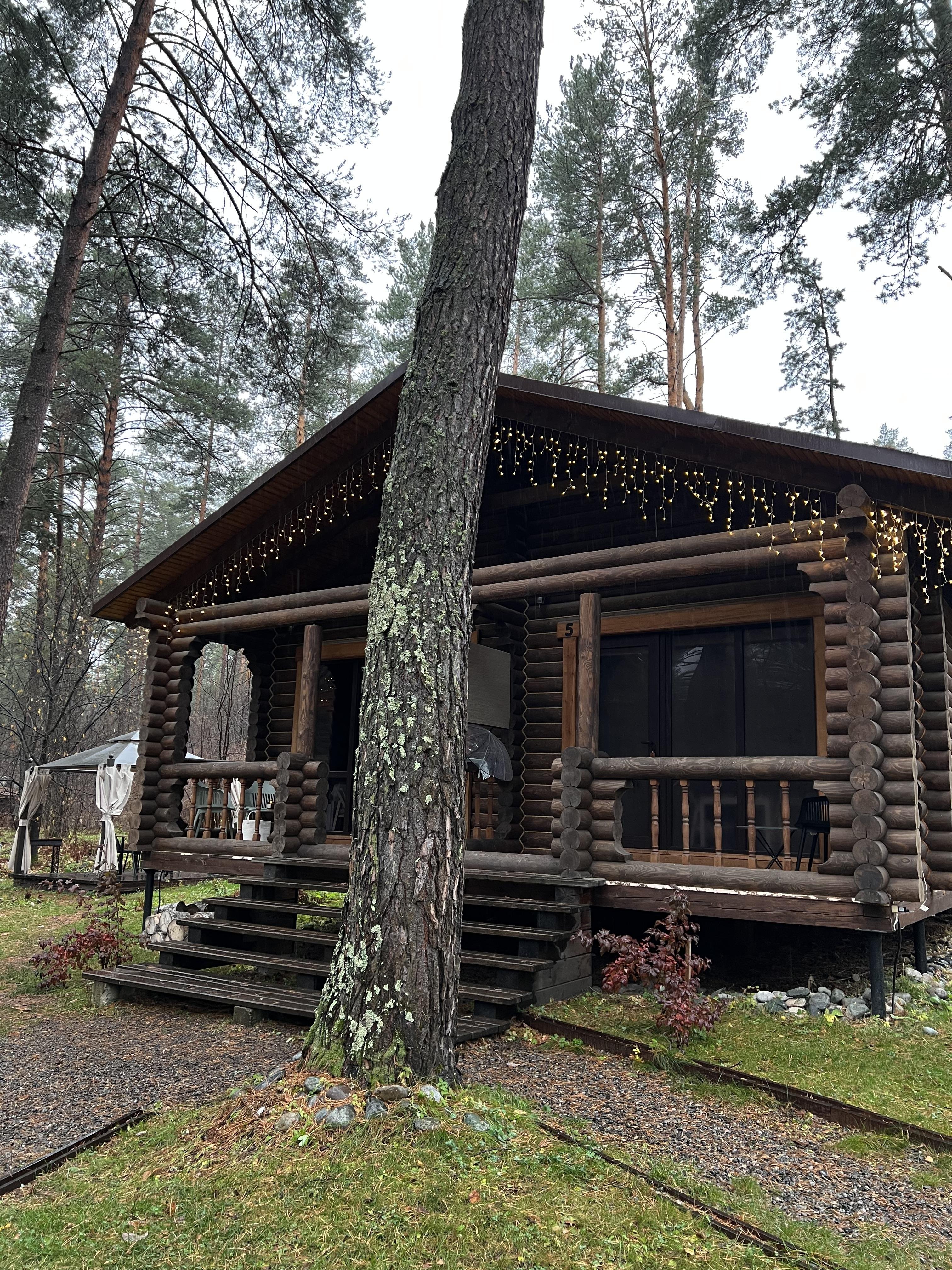 Лето - фото 29