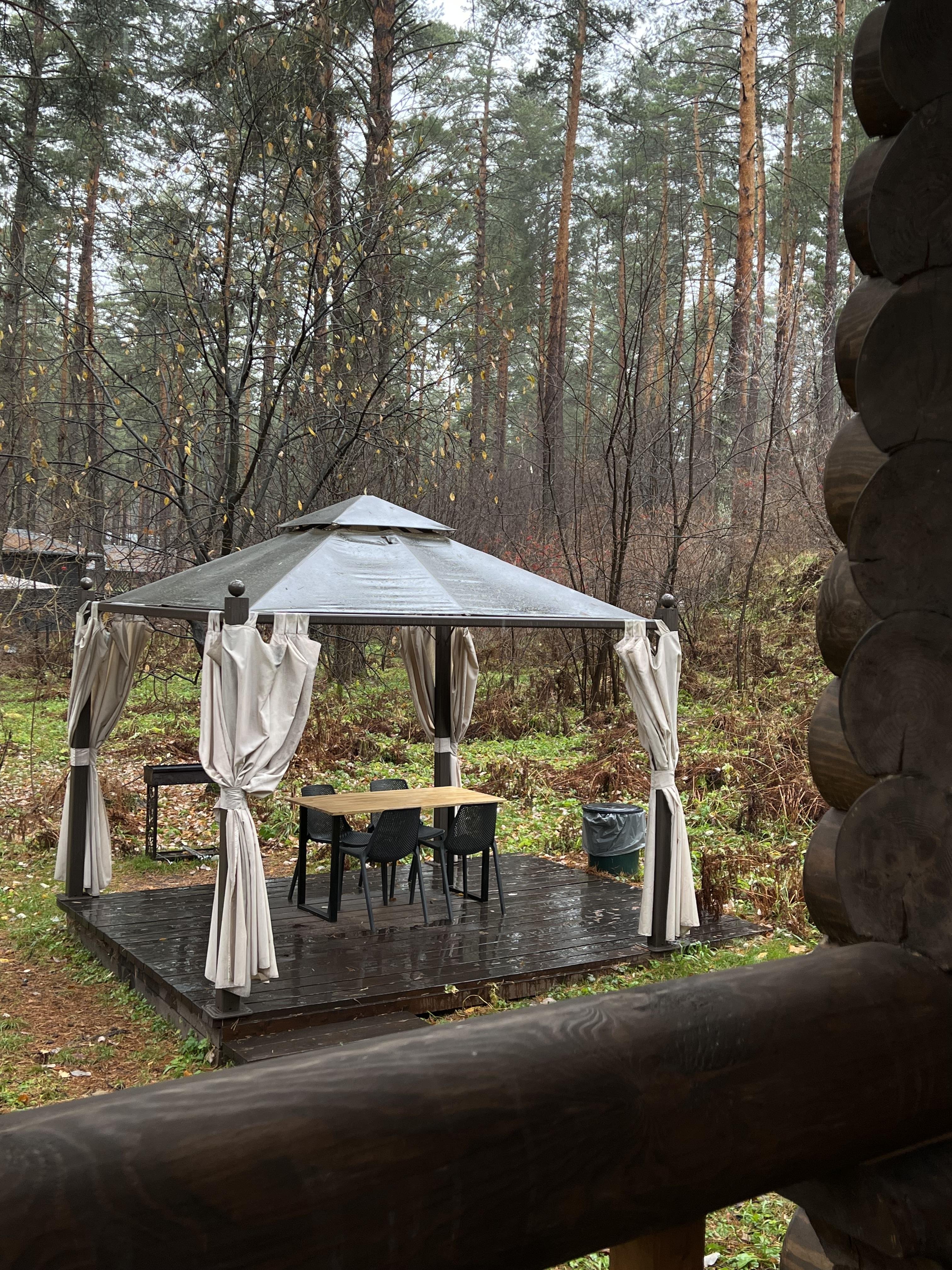 Лето - фото 36