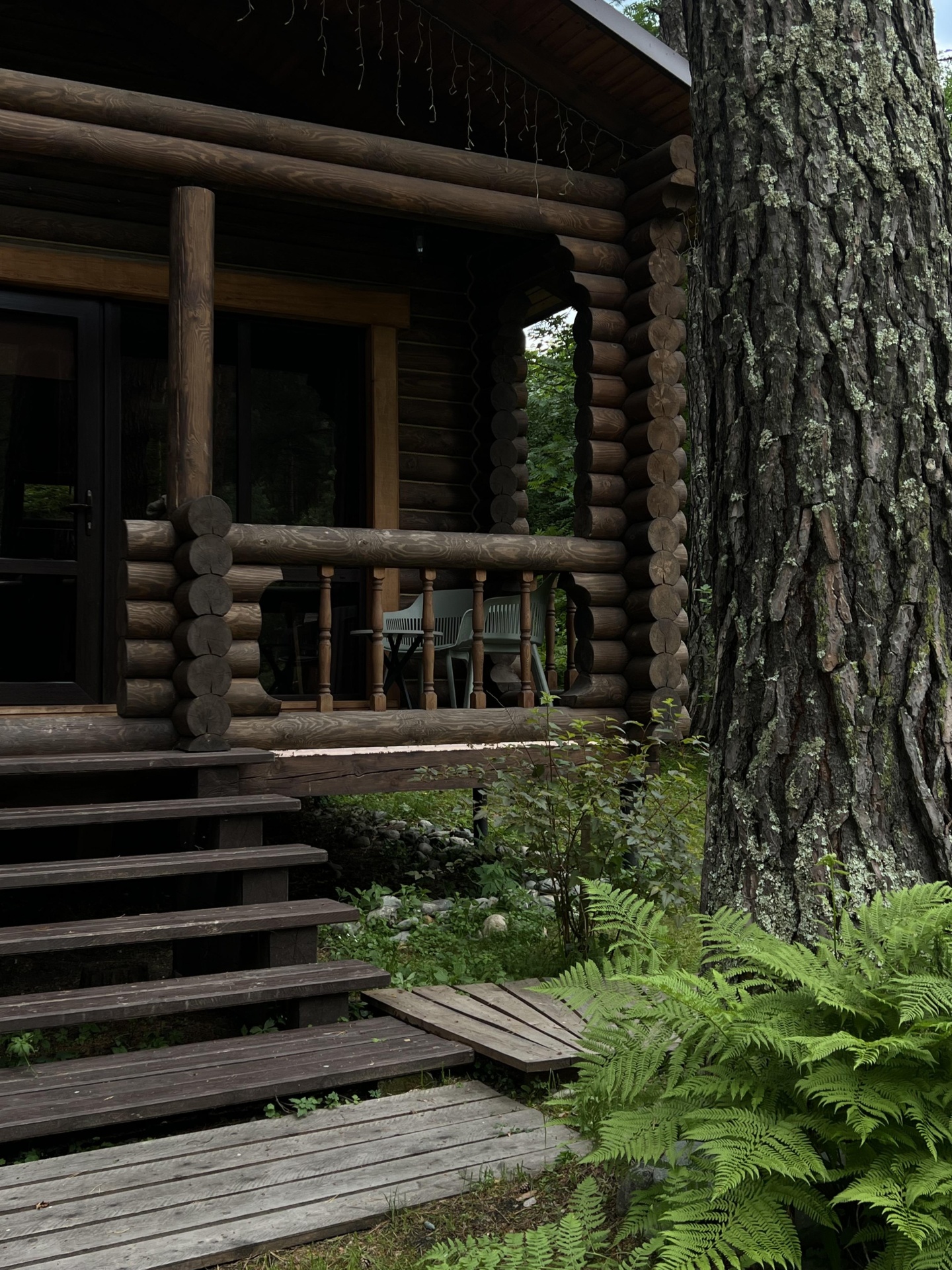 Номер комфорт - фото 1