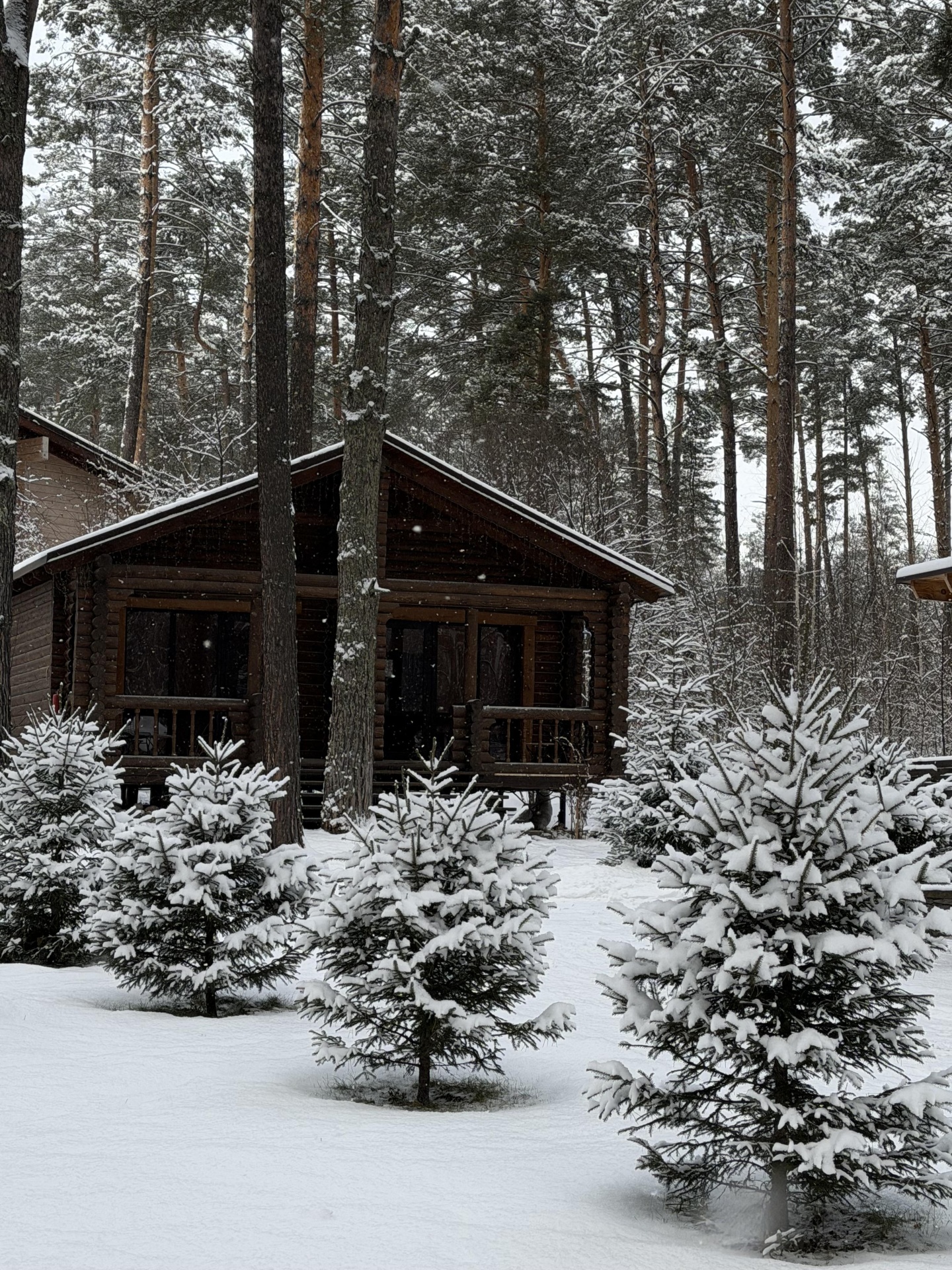 Номер комфорт - фото 8